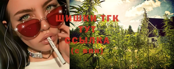 прущий лед Алзамай