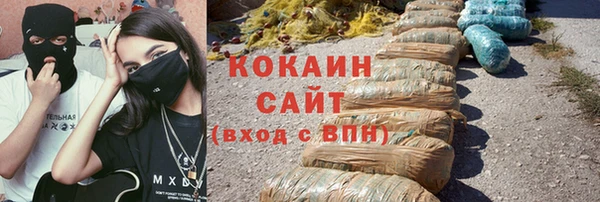 прущий лед Алзамай