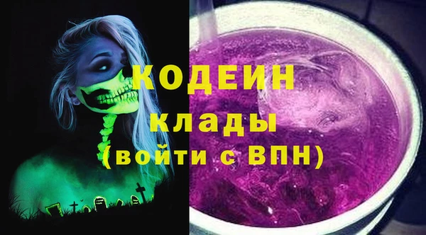 молекула духа Нягань