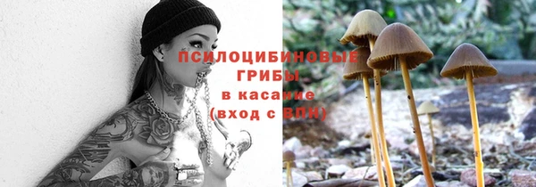 прущий лед Алзамай