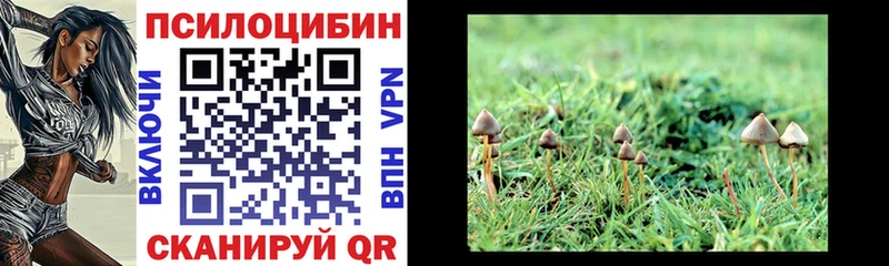 Галлюциногенные грибы мухоморы  Лермонтов 